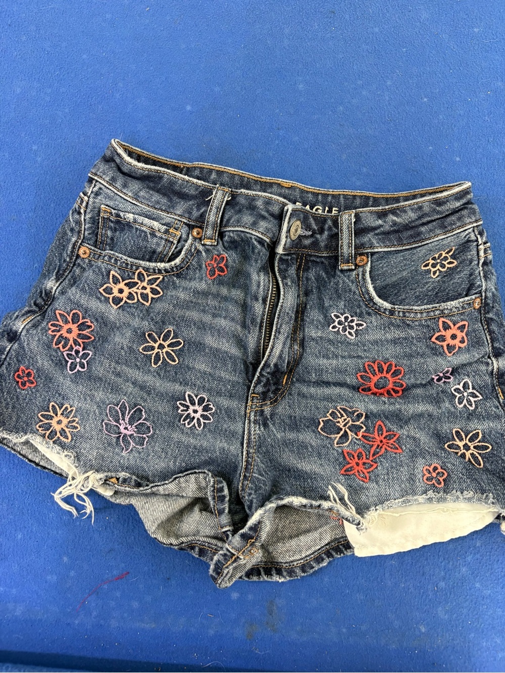 American Eagle Outfitters Blue Denim Shorts with Multicolor Floral Embroidery